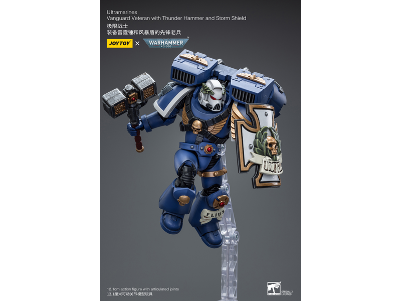 Joy Toy Vanguard Veteran with Thunder Hammer and Storm Shield Ultramarines Joy Toy