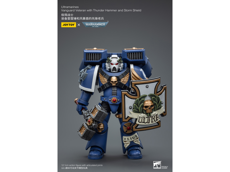 Joy Toy Vanguard Veteran with Thunder Hammer and Storm Shield Ultramarines Joy Toy