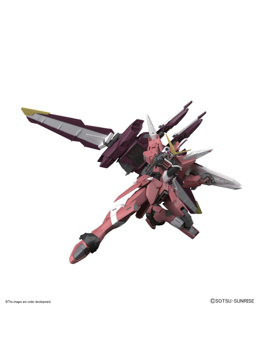 Justice Gundam MG 1/100 Bandai