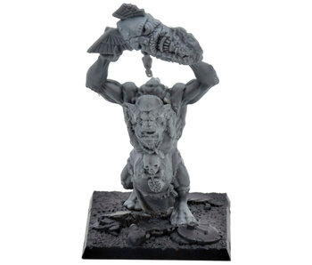 ORCS & GOBLINS Skull Pass Troll #1 Warhammer Fantasy