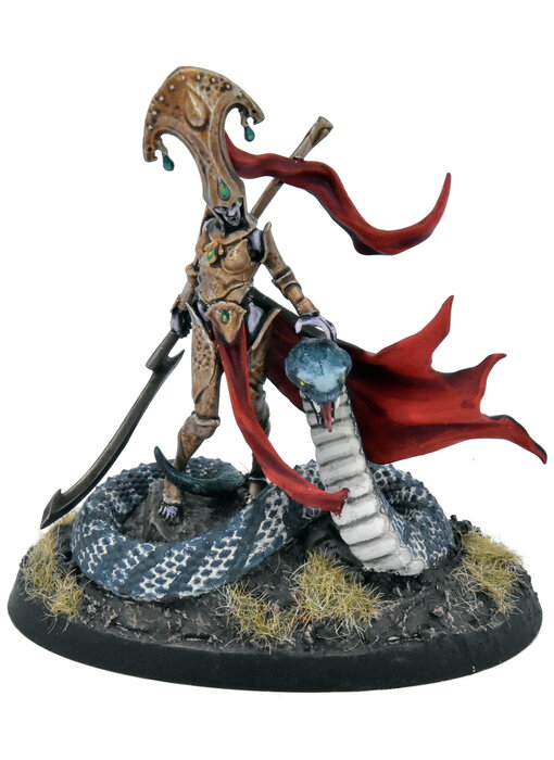 SOULBLIGHT GRAVELORDS Sekhar Fang Of Nulahmia #1 COMMISSION PRO PAINTED