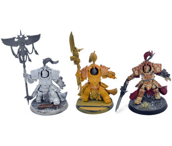 ADEPTUS CUSTODES 3 Allarus Custodian Terminators #1 Warhammer 40K