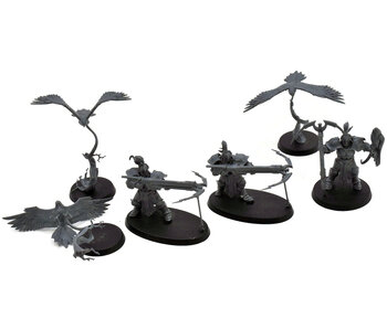 STORMCAST ETERNALS 3 Vanguard Raptor With Longstrike & Aetherwing #1 Sigmar