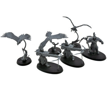 STORMCAST ETERNALS 3 Vanguard Raptor With Longstrike & Aetherwing #2 Sigmar