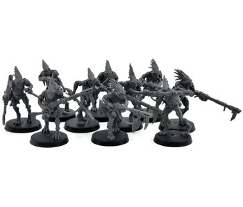 TAU EMPIRE 10 Kroot Carnivore Squad #1 Warhammer 40K