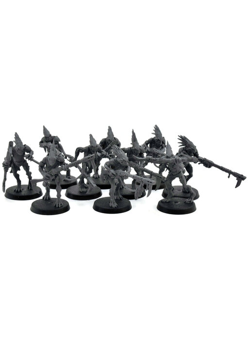 TAU EMPIRE 10 Kroot Carnivore Squad #1 Warhammer 40K