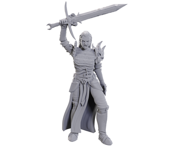 D&D Unpainted Minis Wv25 Blackguard