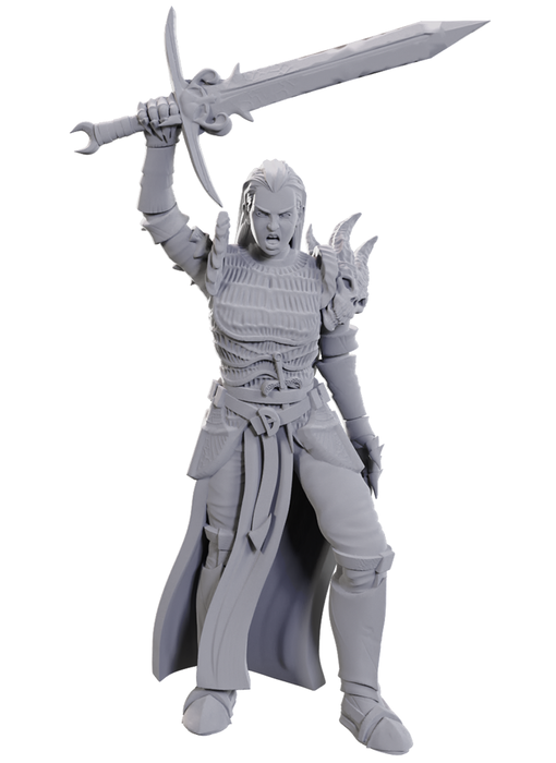 D&D Unpainted Minis Wv25 Blackguard