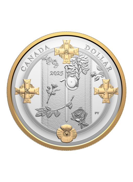 Ensemble épreuve numismatique en argent fin 2025 – La Tombe du Soldat inconnu (2000-2025)