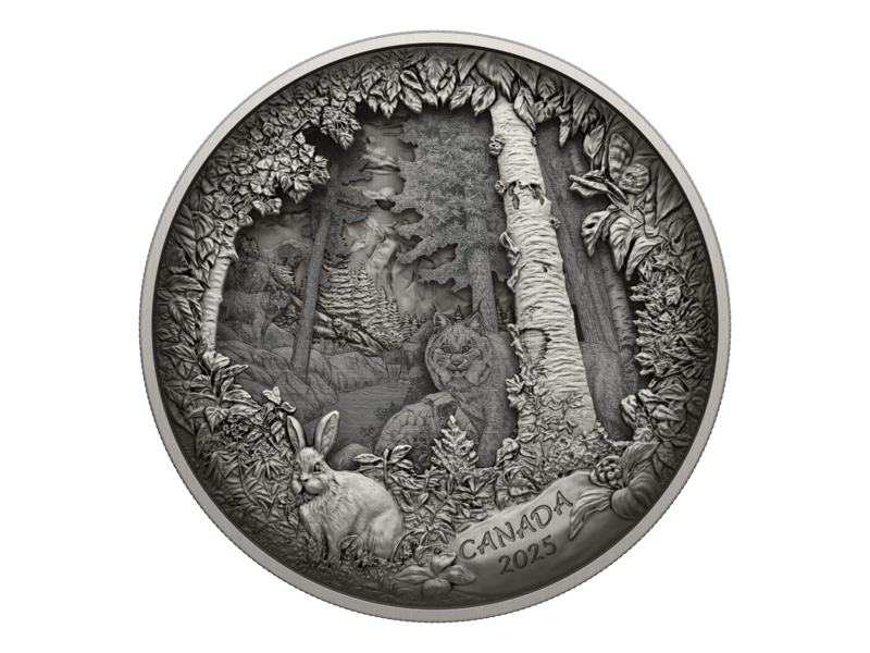 Monnaie Royale Canadienne Predator or Prey in Shadow Box – Fine Silver Coin (2025)