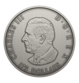 Monnaie Royale Canadienne Pièce de 175 $ en argent fin  – Proies et prédateurs en perspective (2025)
