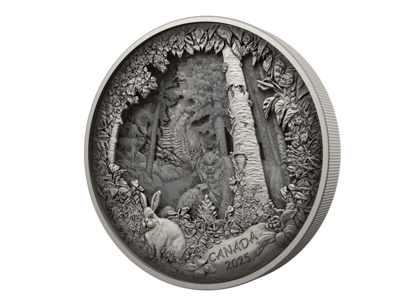 Monnaie Royale Canadienne Predator or Prey in Shadow Box – Fine Silver Coin (2025)