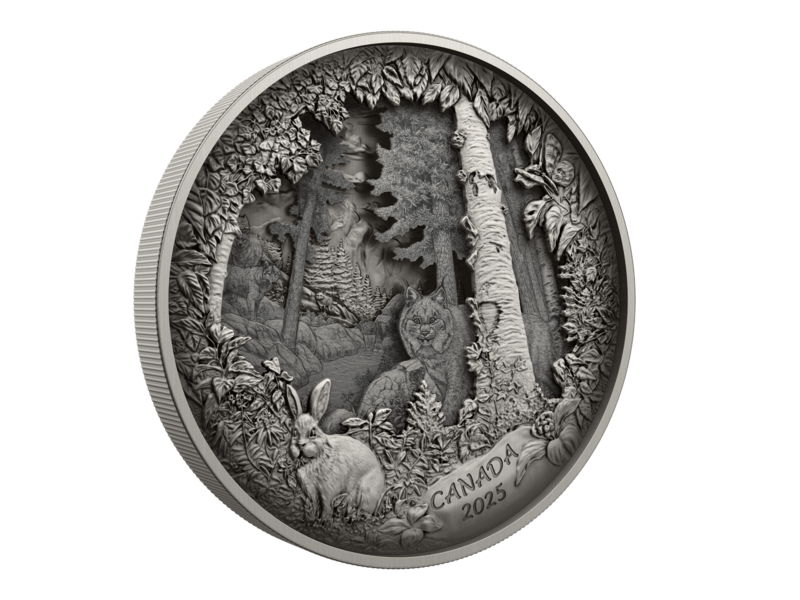 Monnaie Royale Canadienne Predator or Prey in Shadow Box – Fine Silver Coin (2025)