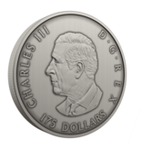 Monnaie Royale Canadienne Pièce de 175 $ en argent fin  – Proies et prédateurs en perspective (2025)