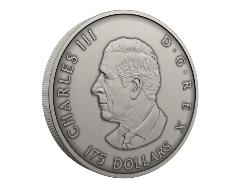 Monnaie Royale Canadienne Pièce de 175 $ en argent fin  – Proies et prédateurs en perspective (2025)
