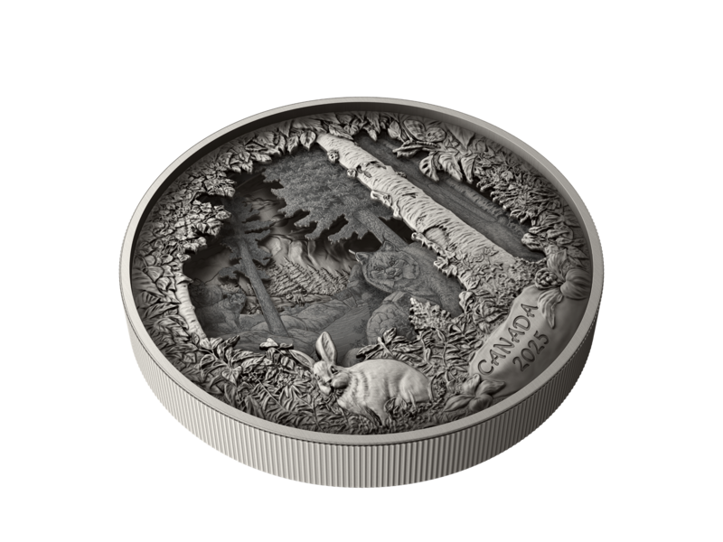 Monnaie Royale Canadienne Predator or Prey in Shadow Box – Fine Silver Coin (2025)
