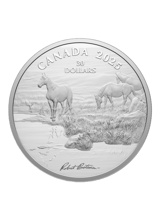 Pièce de 30 $ en argent fin 2025 – Mustang Country de Robert Bateman