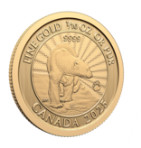 Monnaie Royale Canadienne 2025 The Majestic Polar Bear – 1/10 oz. 99.99% Pure Gold Coin (Premium Bullion)