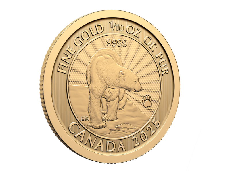 Monnaie Royale Canadienne 2025 The Majestic Polar Bear – 1/10 oz. 99.99% Pure Gold Coin (Premium Bullion)