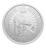 Monnaie Royale Canadienne 2025 The Majestic Polar Bear – 1 oz. $5 99.99% Pure Silver Coin (Premium Bullion)