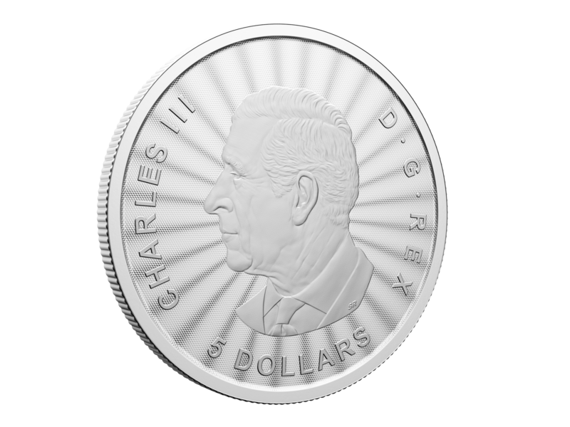 Monnaie Royale Canadienne 2025 The Majestic Polar Bear – 1 oz. $5 99.99% Pure Silver Coin (Premium Bullion)