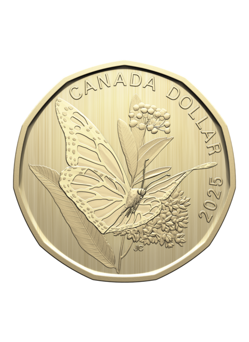 Specimen Set – Monarch Butterfly (2025)