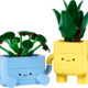 Happy Plants (10349)