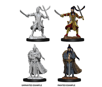 D&D Unpainted Minis Wv9 Male Elf Paladin
