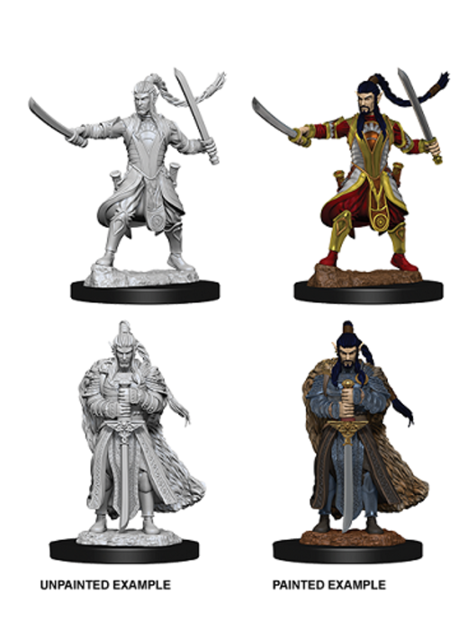 D&D Unpainted Minis Wv9 Male Elf Paladin