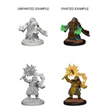 Wizkids D&D Unpainted Minis Wv4 Dwarf Female Cleric