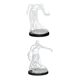 Wizkids D&D Unpainted Minis Wv11 Shadow
