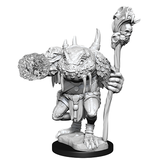 Wizkids D&D Unpainted Minis Wv12.5 Green Slaad