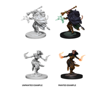 D&D Unpainted Minis Wv6 Female Tiefling Warlock