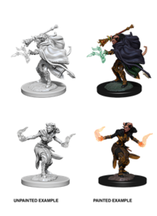 D&D Unpainted Minis Wv6 Female Tiefling Warlock