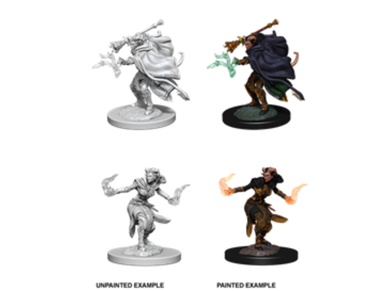 Wizkids D&D Unpainted Minis Wv6 Female Tiefling Warlock