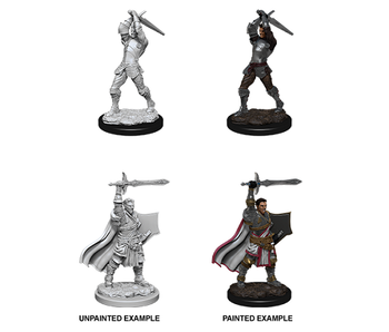 D&D Unpainted Minis Wv12 Male Human Paladin