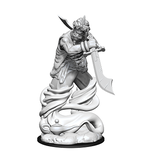 Wizkids D&D Unpainted Minis Wv13 Djinni