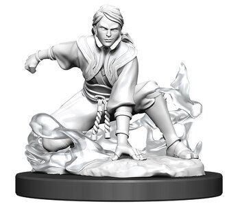 D&D Unpainted Minis Wv11 Female Human Monk