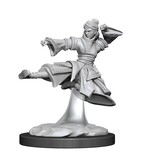 Wizkids D&D Unpainted Minis Wv11 Female Human Monk
