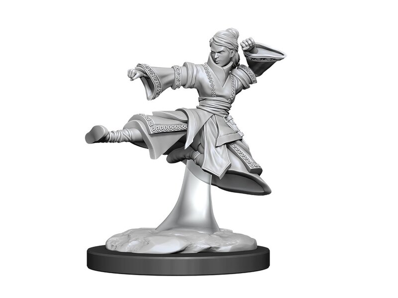 Wizkids D&D Unpainted Minis Wv11 Female Human Monk