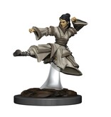 Wizkids D&D Unpainted Minis Wv11 Female Human Monk