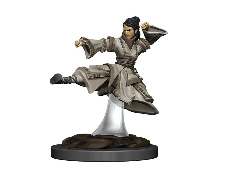 Wizkids D&D Unpainted Minis Wv11 Female Human Monk