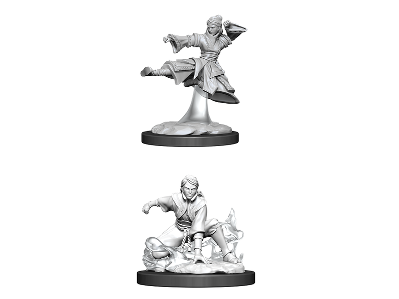 Wizkids D&D Unpainted Minis Wv11 Female Human Monk