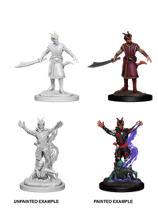 D&D Unpainted Minis Wv6 Male Tiefling Warlock