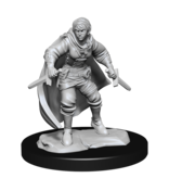 Wizkids D&D Unpainted Minis Wv14 Half-elf Rogue Female