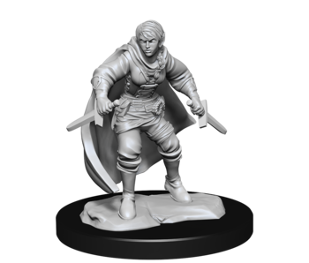 D&D Unpainted Minis Wv14 Half-elf Rogue Female