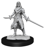 Wizkids D&D Unpainted Minis Wv14 Half-elf Rogue Female