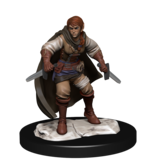 Wizkids D&D Unpainted Minis Wv14 Half-elf Rogue Female