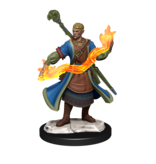 Wizkids D&D Unpainted Minis Wv14 Half-elf Wizard Male