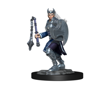 D&D Unpainted Minis Wv14 Kalashtar Cleric Female